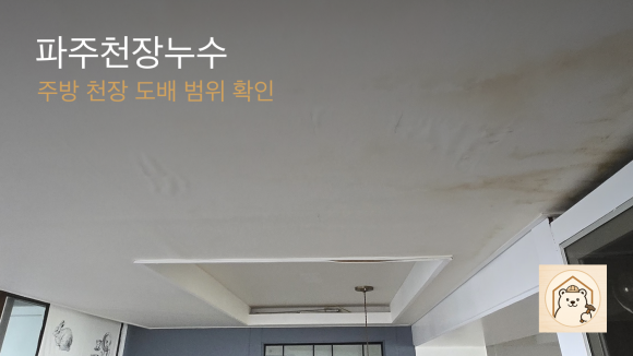 파주천장누수 복구 판단 기준을 설명하는 예시 이미지